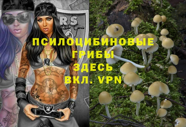 круглые Рославль