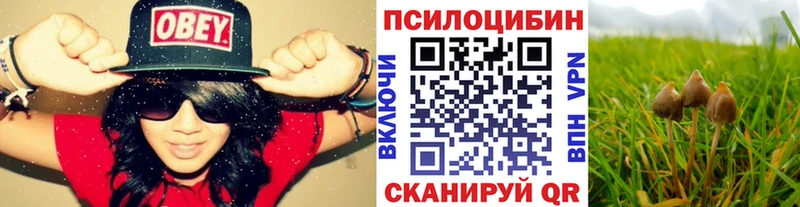 Псилоцибиновые грибы GOLDEN TEACHER  где купить наркотик  Власиха 